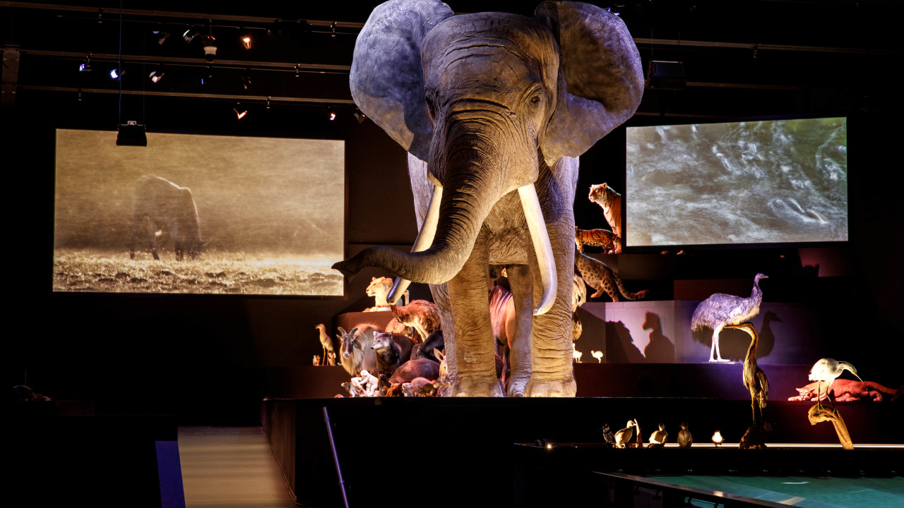 Ata Tech B.V. EERSEL afbeelding 6